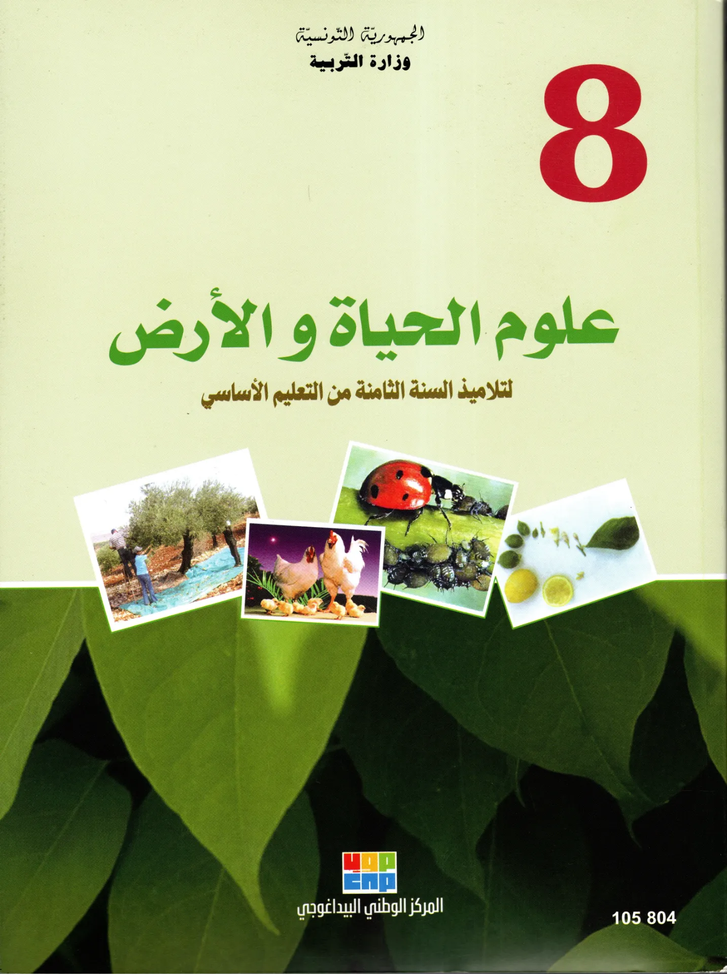 [105804]  كتاب علوم الحيات و الأرض السنة الثامتة