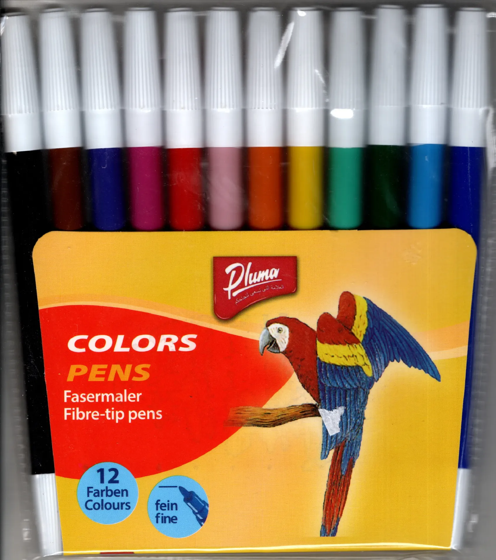 Feutre de 12 Pluma