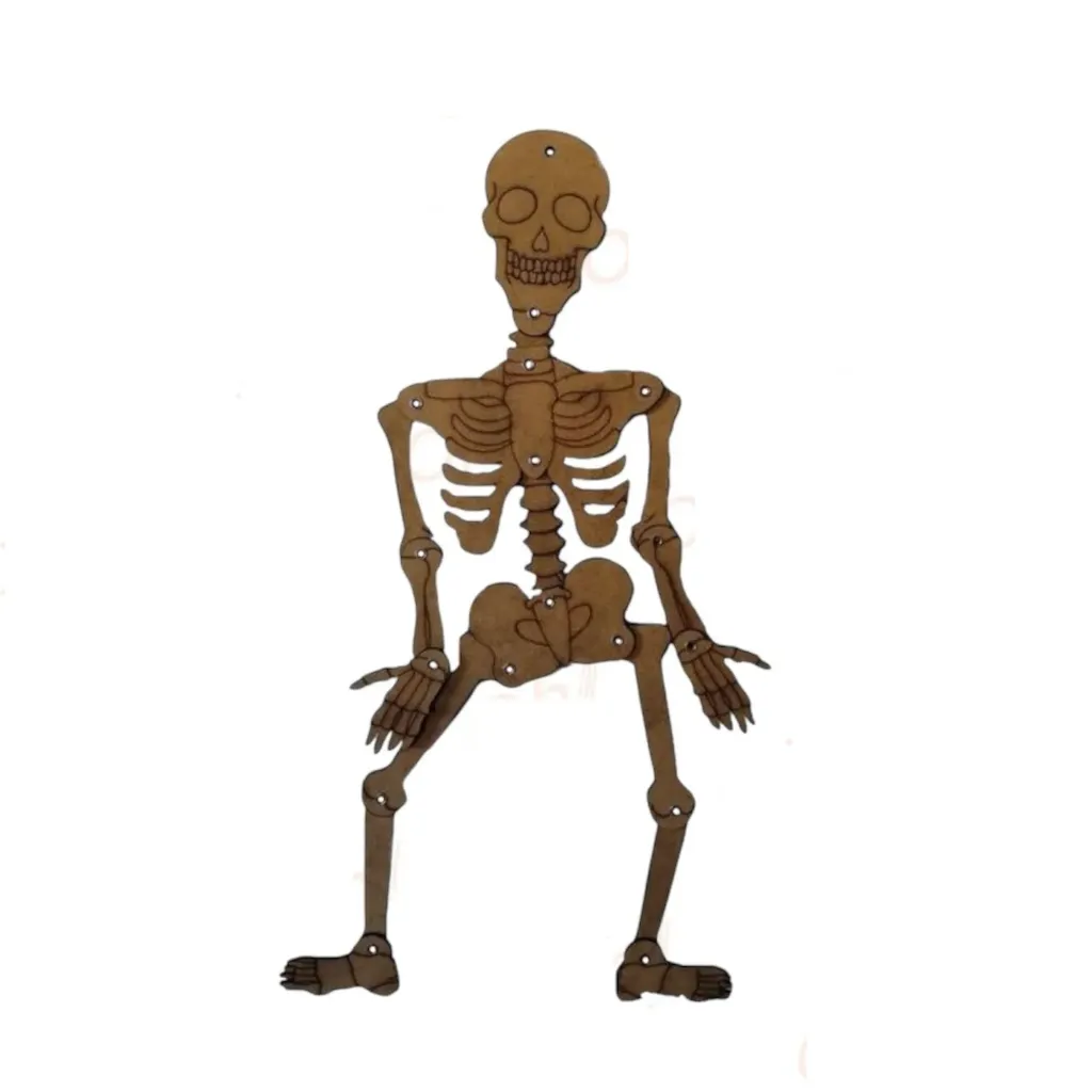 le squelette humain en boie